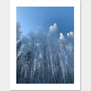 Winter in soldotna alaska Posters and Art